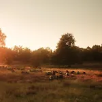 Luxe Vosje Op De Veluwe Feriehus *