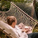 Luxe Vosje Op De Veluwe