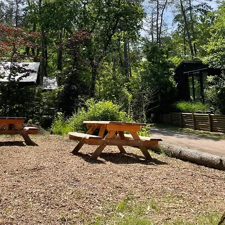 Сasa de vacaciones Luxe Vosje Op De Veluwe *