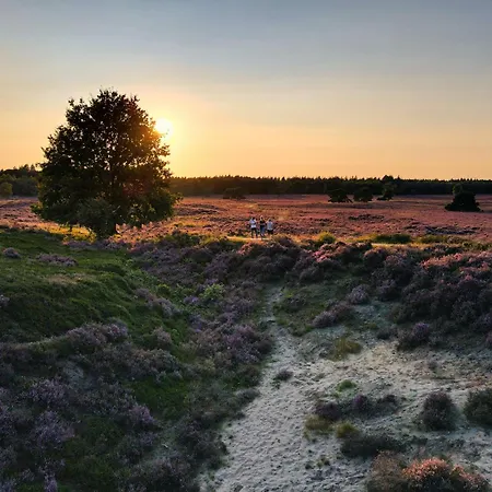 Luxe Vosje Op De Veluwe