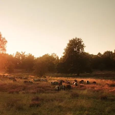 Luxe Vosje Op De Veluwe Nyaraló *