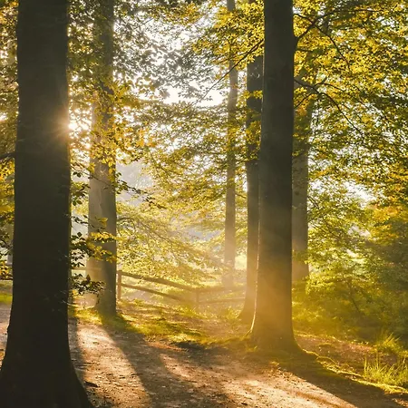 Luxe Vosje Op De Veluwe Сasa de vacaciones *