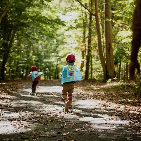 Nyaraló Luxe Vosje Op De Veluwe
