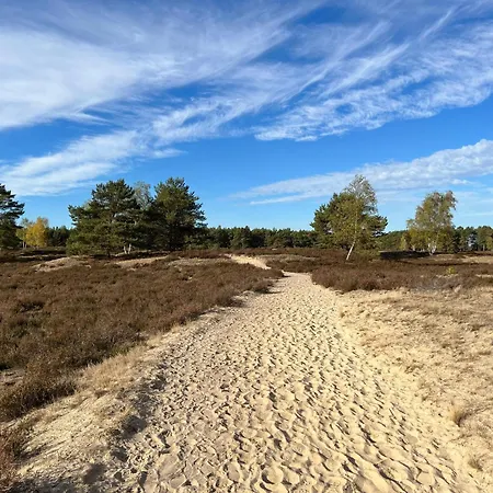 Luxe Vosje Op De Veluwe Holiday home Nunspeet