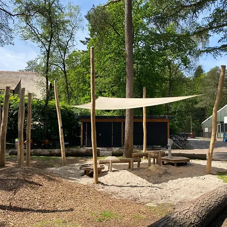 Luxe Vosje Op De Veluwe *