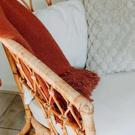 Luxe Vosje Op De Veluwe *