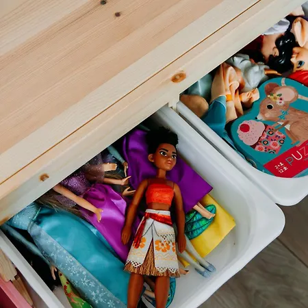 Luxe Vosje Op De Veluwe *