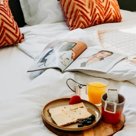 Luxe Vosje Op De Veluwe