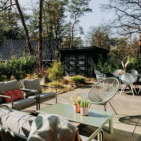 Luxe Vosje Op De Veluwe *