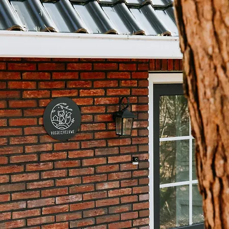 Luxe Vosje Op De Veluwe