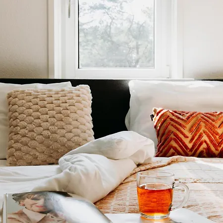 Luxe Vosje Op De Veluwe *