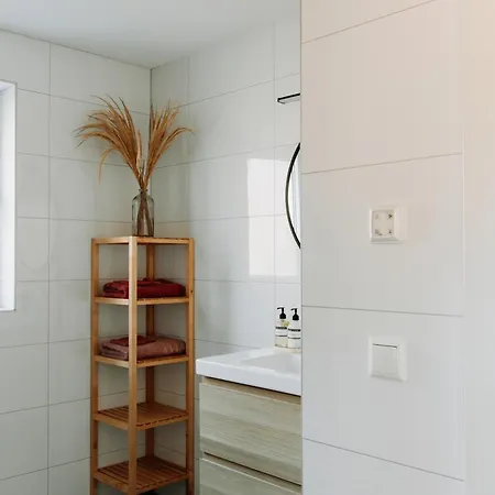 Luxe Vosje Op De Veluwe