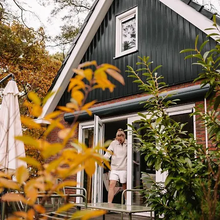 Luxe Vosje Op De Veluwe *