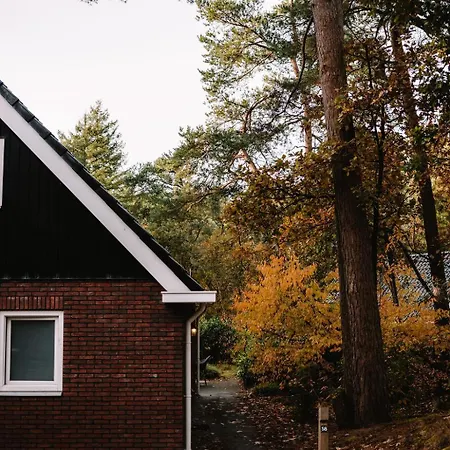 Holiday home Luxe Vosje Op De Veluwe *