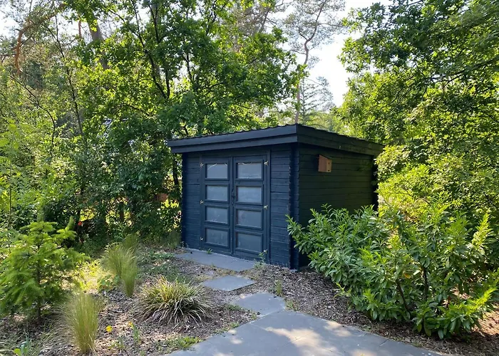 Luxe Vosje Op De Veluwe * ヌンスペート