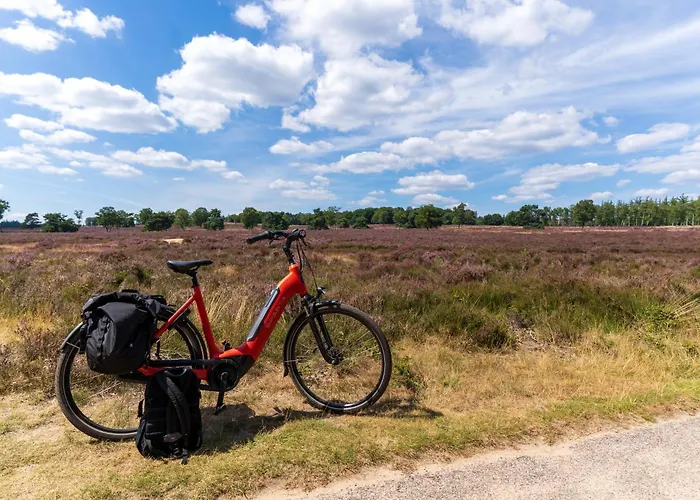 Luxe Vosje Op De Veluwe Dom wakacyjny *