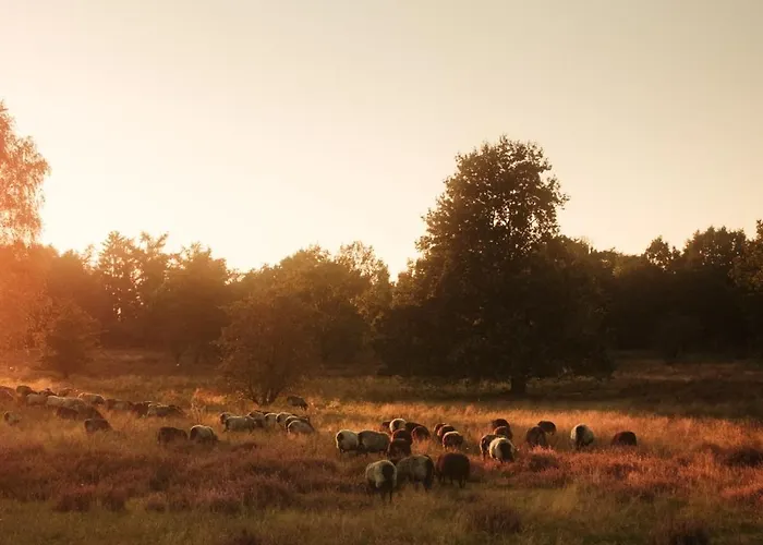 Luxe Vosje Op De Veluwe Dom wakacyjny *