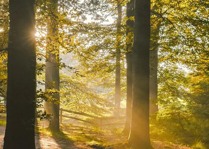 Luxe Vosje Op De Veluwe Dom wakacyjny *