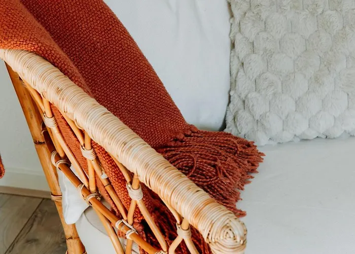 Luxe Vosje Op De Veluwe *