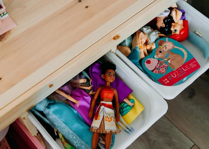 Luxe Vosje Op De Veluwe *