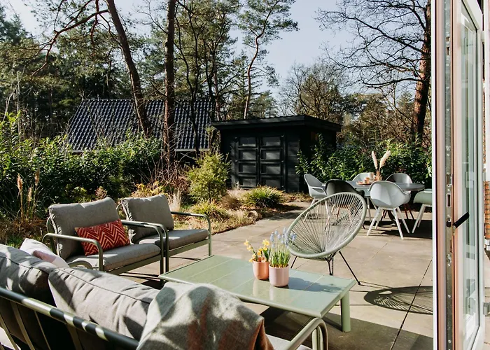 Luxe Vosje Op De Veluwe *