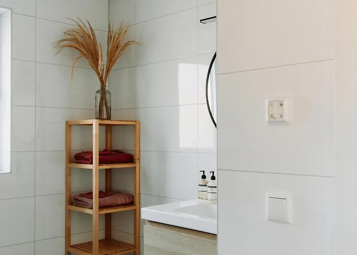 Luxe Vosje Op De Veluwe