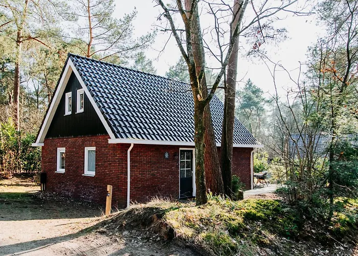 Luxe Vosje Op De Veluwe *