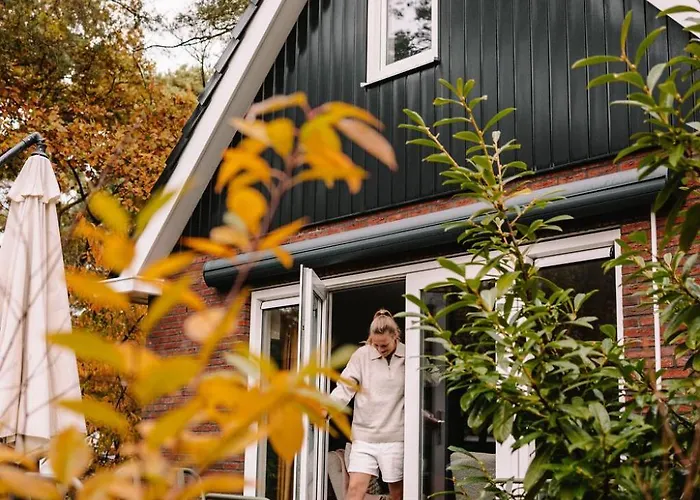 Luxe Vosje Op De Veluwe *