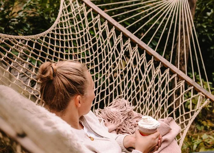 Luxe Vosje Op De Veluwe