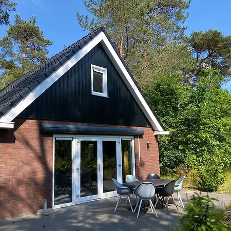 Luxe Vosje Op De Veluwe *