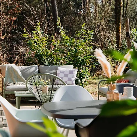 Luxe Vosje Op De Veluwe Nunspeet