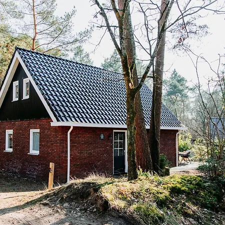 Luxe Vosje Op De Veluwe *