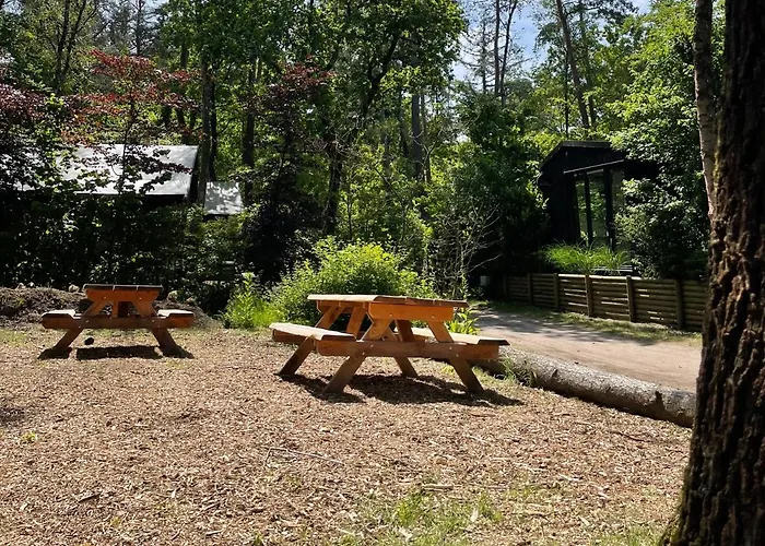 Semesterbostad Luxe Vosje Op De Veluwe *