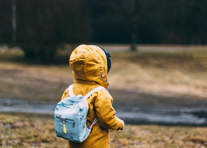 Luxe Vosje Op De Veluwe Semesterbostad Nunspeet