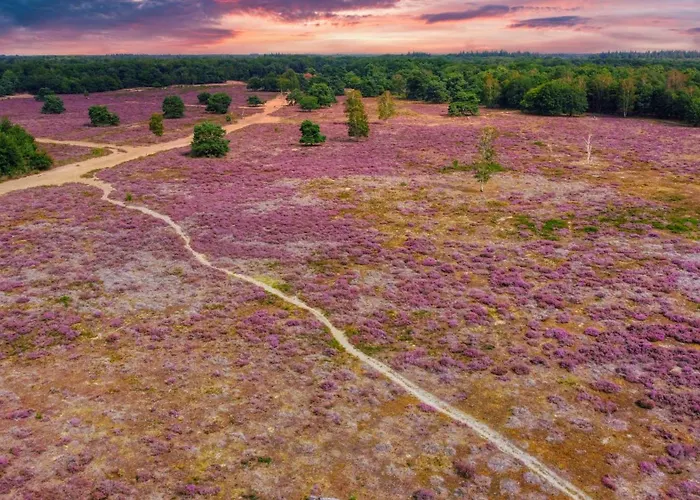 Semesterbostad Luxe Vosje Op De Veluwe Nunspeet