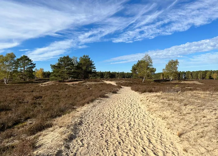 Luxe Vosje Op De Veluwe Semesterbostad Nunspeet