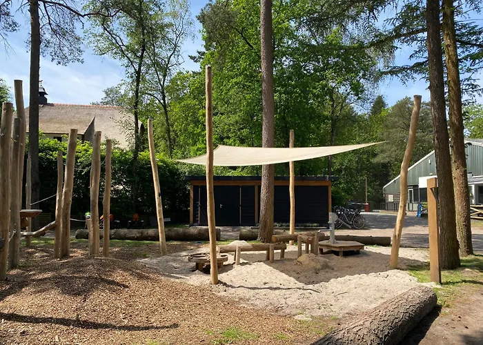 Luxe Vosje Op De Veluwe *