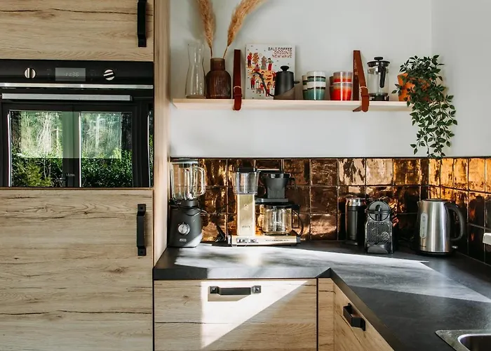 Luxe Vosje Op De Veluwe