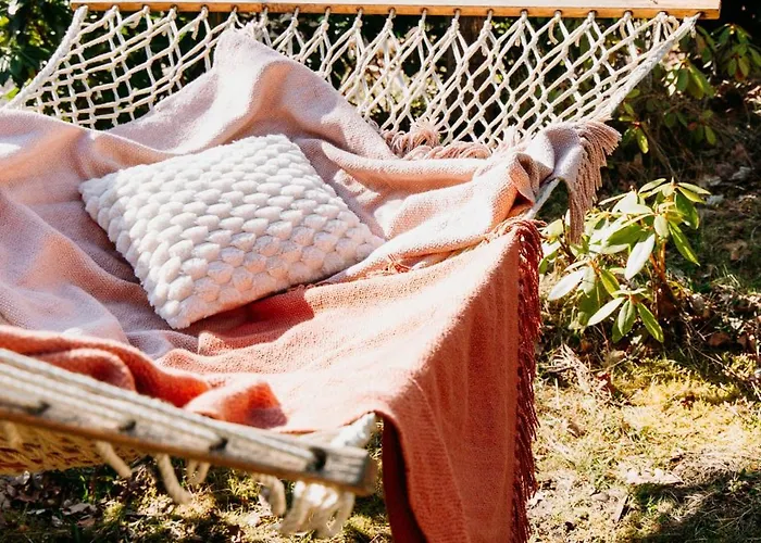 Luxe Vosje Op De Veluwe *