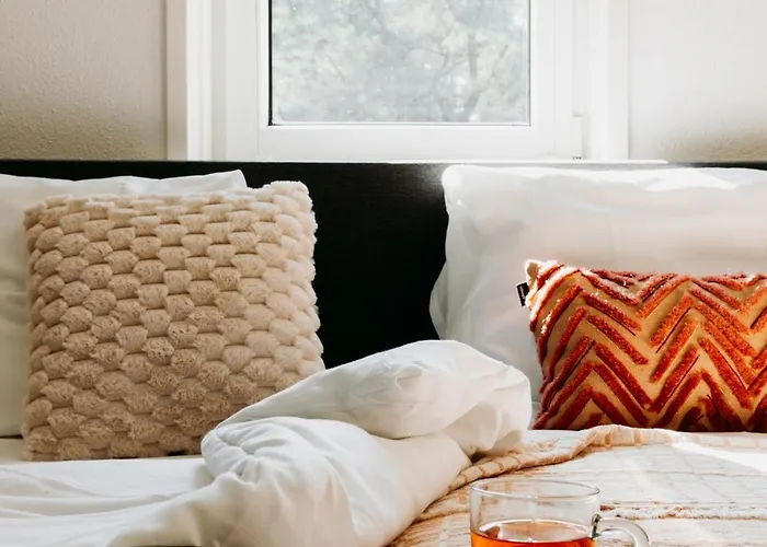 Luxe Vosje Op De Veluwe *